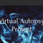 Investigating virtual autopsies